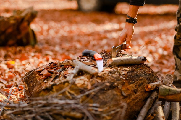 用斧头和锯子劈柴图片下载