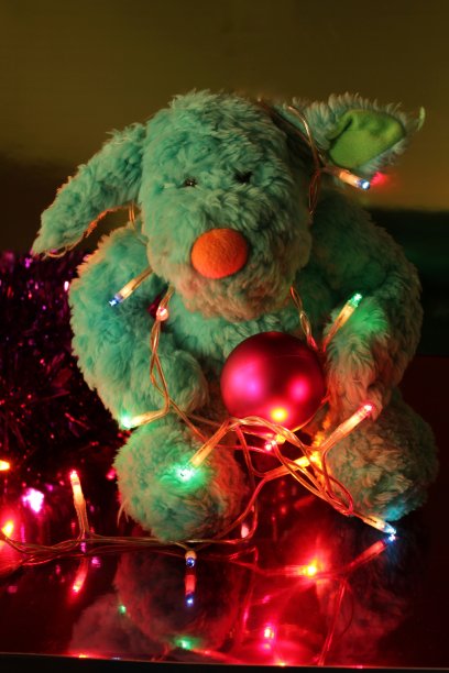 有趣的泰迪熊和圣诞彩灯图片下载