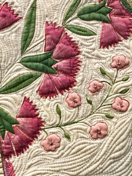 粉红色绗缝特写(石竹)图片下载