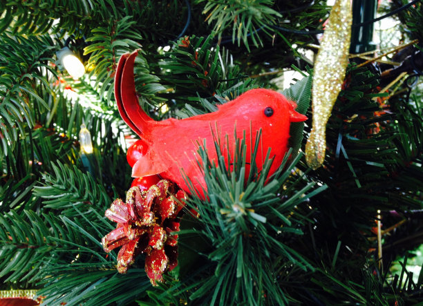 红色小鸟圣诞装饰品图片下载