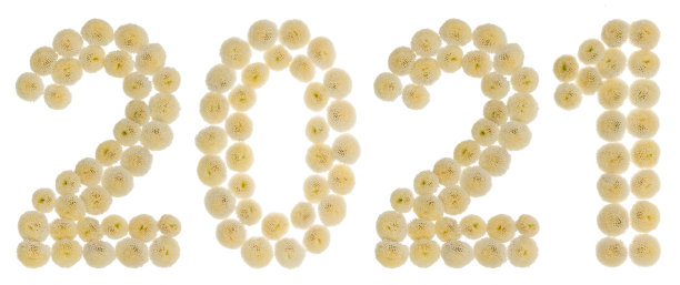 数字2021从奶油菊花，孤立在白色背景图片下载