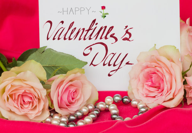 粉色玫瑰和空白车图片下载