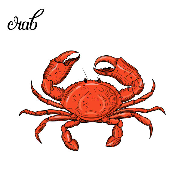 螃蟹。海鲜。图片下载