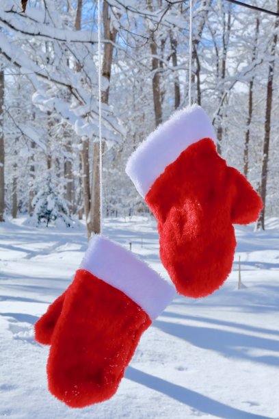 森林里的红手套图片下载