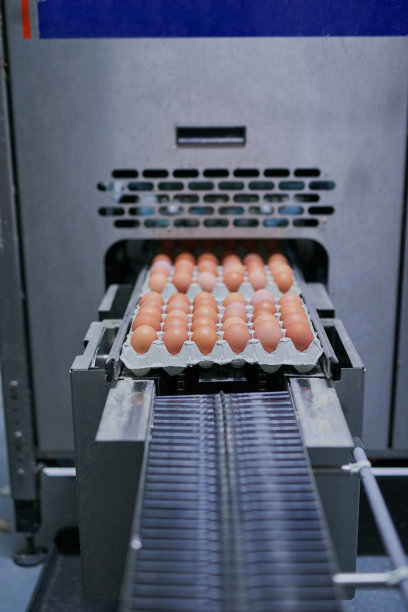 吃早餐图片下载