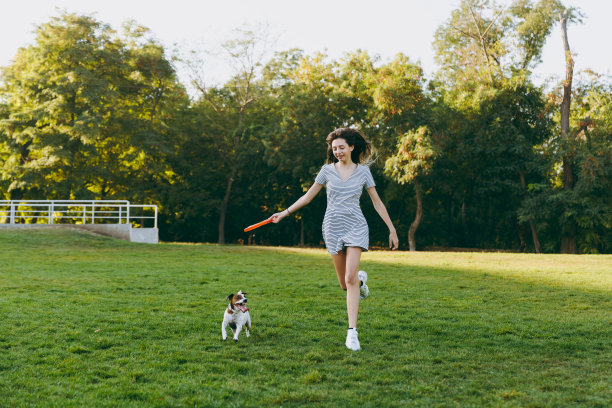 女孩把橙色的飞盘扔给小狗，小狗在绿色的草地上抓住了它。小杰克罗素梗宠物在户外公园玩。狗和主人在户外。动物在运动背景。图片下载
