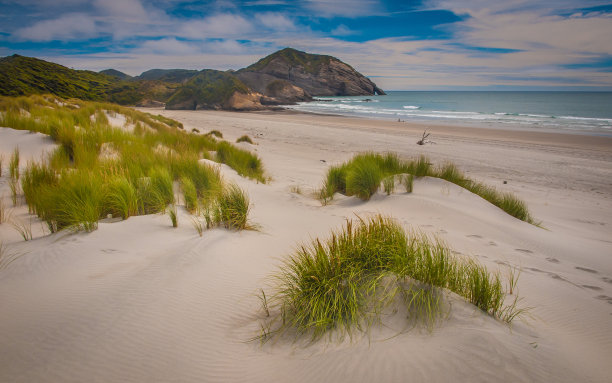 新西兰南岛瓦瑞基海滩的沙丘植被图片下载