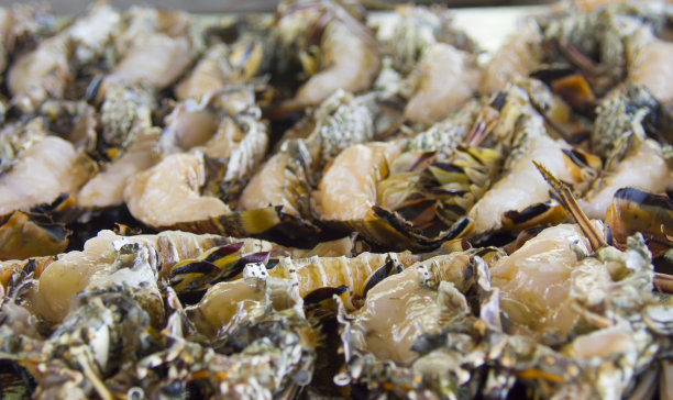 生小龙虾的特写图片下载