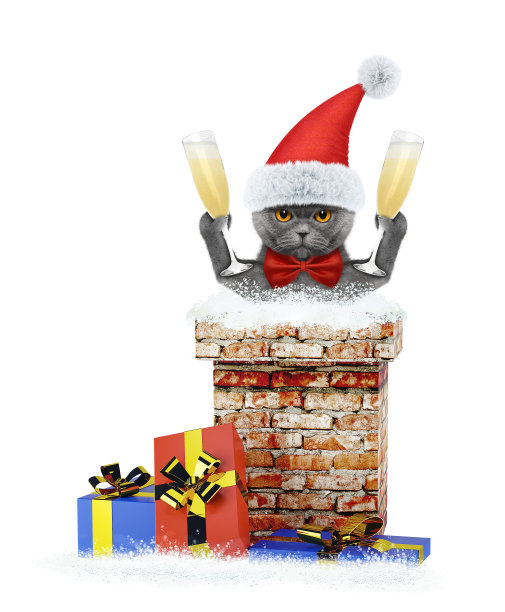 拿着香槟的猫从烟囱爬出来。孤立在白色图片下载