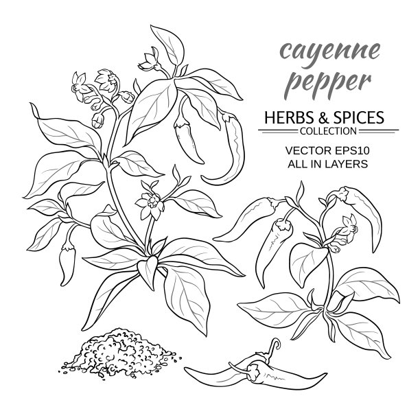 辣椒集图片下载