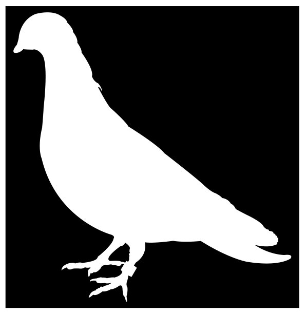 鸽子轮廓图片下载