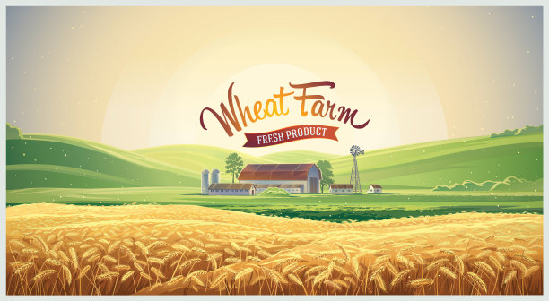 夏季景观与麦田素材图片