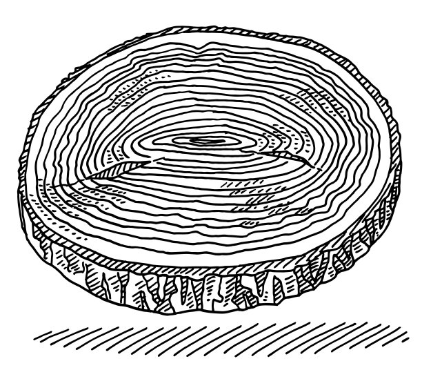 树盘年轮图图片下载