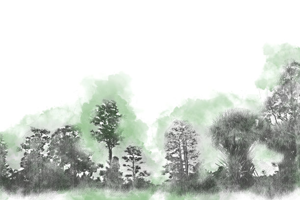 抽象的树和田野上的彩色水彩画背景图片下载