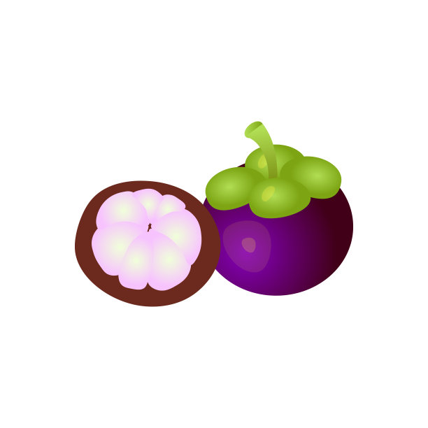 整个和一半切割山竹与阴影在白色的背景。矢量图图片下载