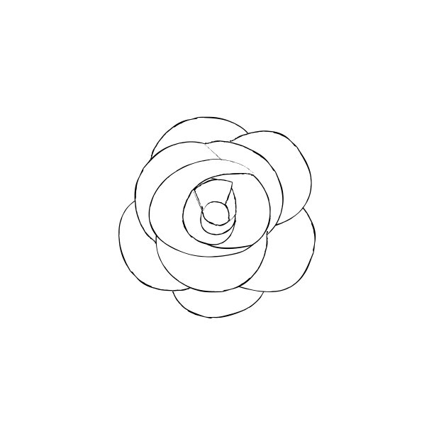 玫瑰花点缀花瓣自然图片下载