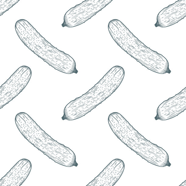 黄瓜无缝模式背景手绘草图。向量图片下载