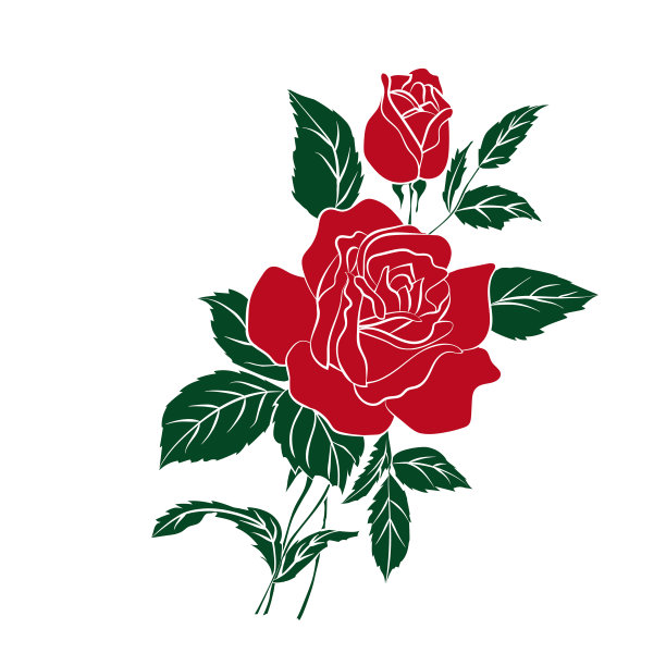 轮廓的玫瑰图片下载