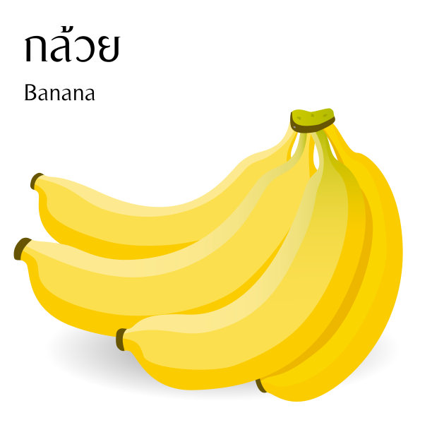 泰国食物向量白色背景与泰国字母意思香蕉图片下载