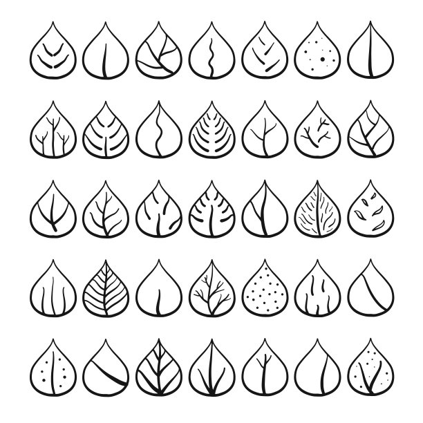 集各种类型的自然叶。矢量插图。图片下载
