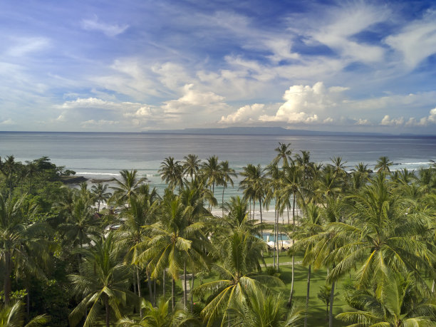 无人机俯瞰棕榈树和大海。巴厘岛。印尼图片下载