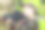 拿着枪玩激光枪战的男孩图片下载