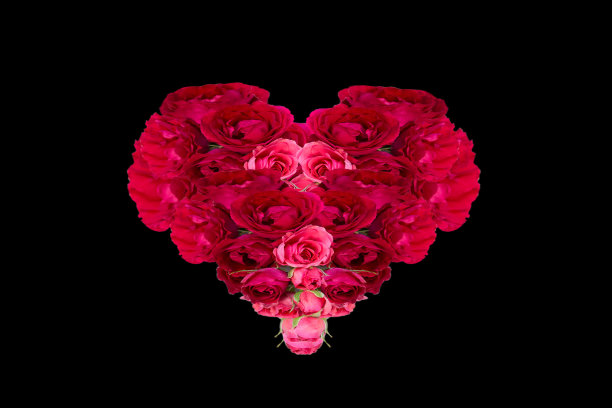 红色的rozes的心脏在黑色的背景。情人节的背景。贺卡模板图片下载