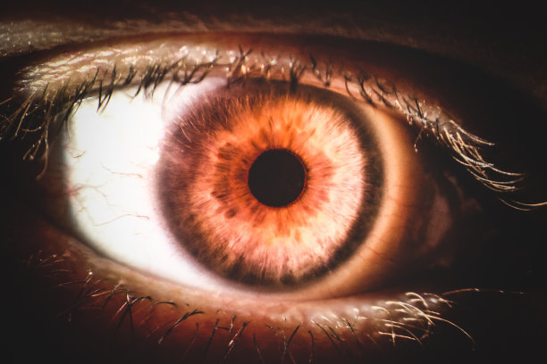 放大的眼睛图像，有棕色的虹膜，睫毛和巩膜图片下载