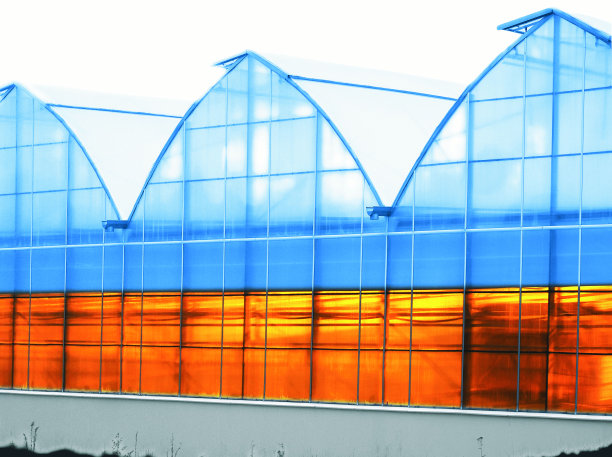 一个温室的特写，在明亮的蓝色下有暗橙色的窗户图片下载