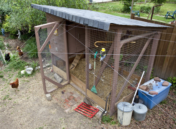 城市鸡笼图片下载