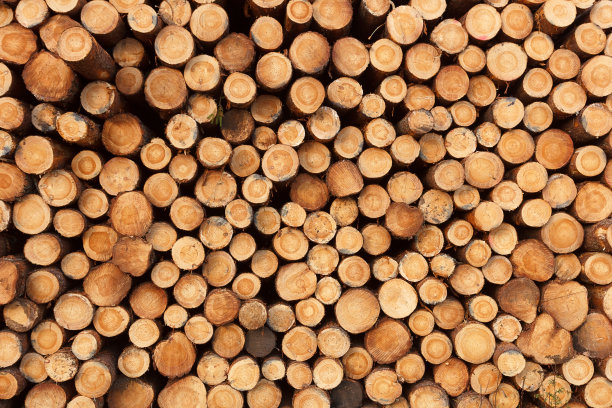 堆栈的日志图片下载