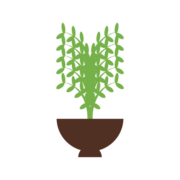 把植物种在花盆里图片下载