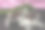 烤甜菜在银箔里。圣诞节烤甜菜汤图片下载