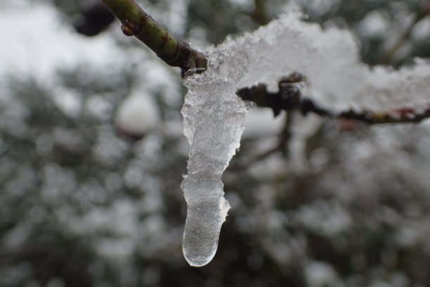 冷冰冰的人图片下载
