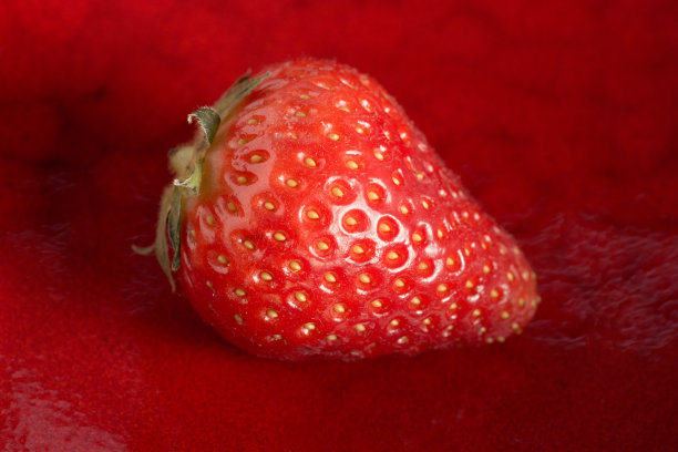 红石草莓图片下载