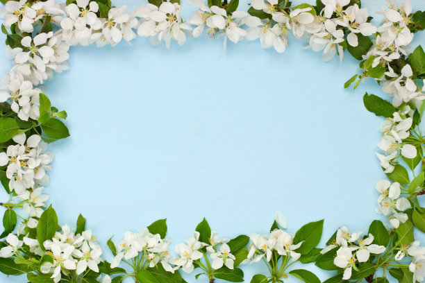 树枝与苹果花在旧的木制背景图片下载