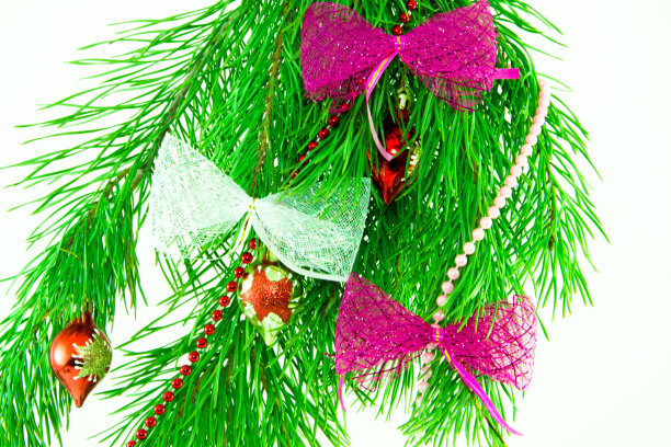 冷杉树枝边界上的白色背景，很好的圣诞背景图片下载