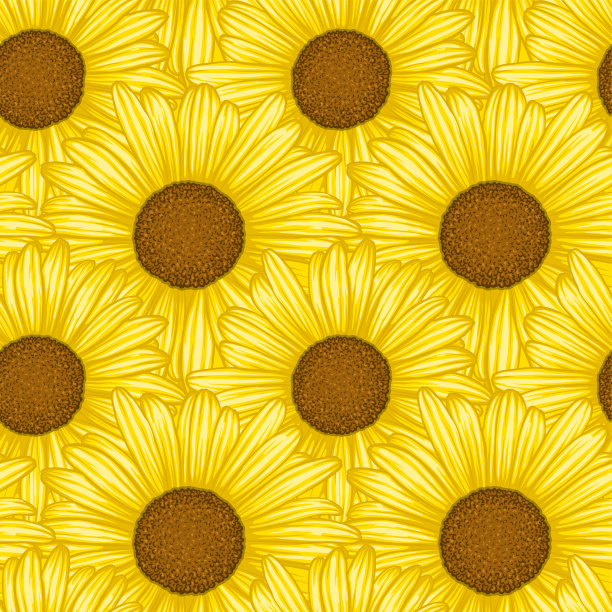 美丽无缝图案的雏菊花。婚礼、生日、情人节、母亲节等节日贺卡和请柬的设计。图片下载