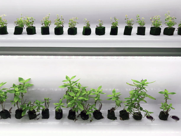 立体种植图片下载