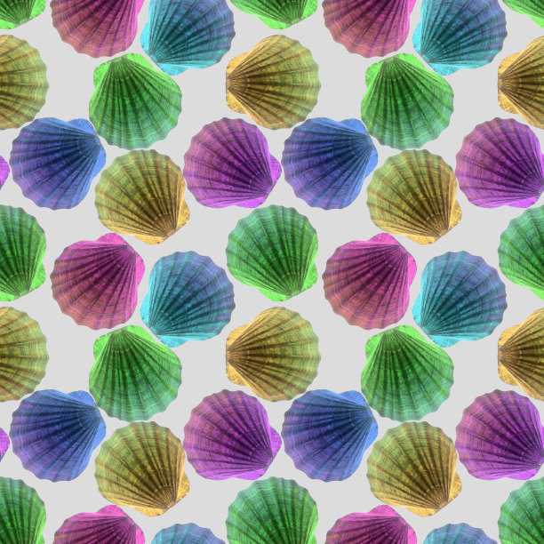 无缝照片纹理的海贝壳图片下载