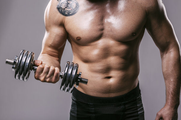 肱二头肌的锻炼图片下载