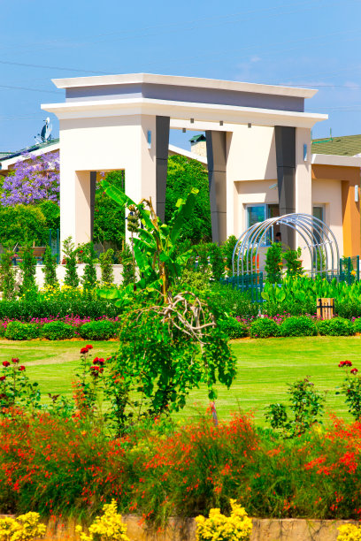 公园和花园图片下载