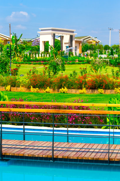 公园和花园图片下载