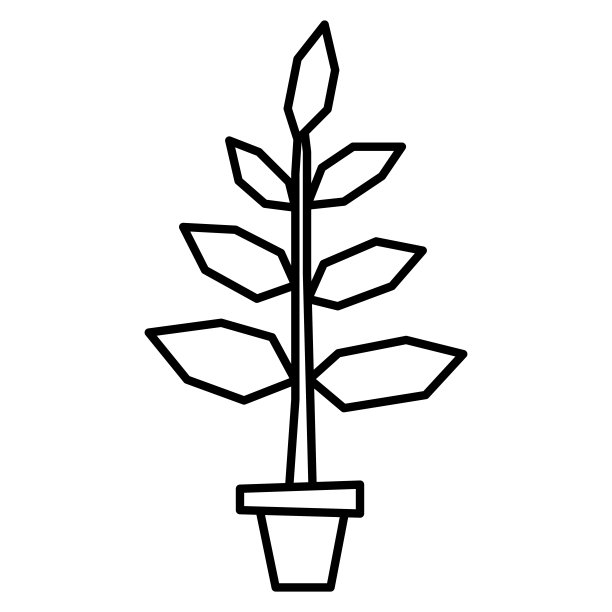 白色背景上的卡通盆景图片下载