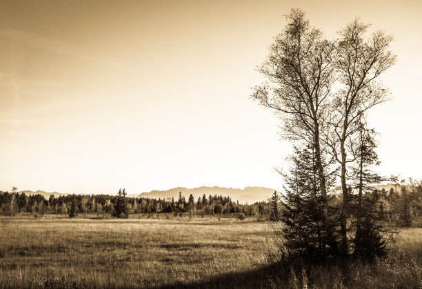 埃尔巴赫沼地图片下载