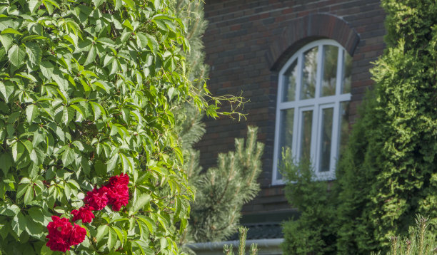 日本式的整洁、保养良好的花园图片下载