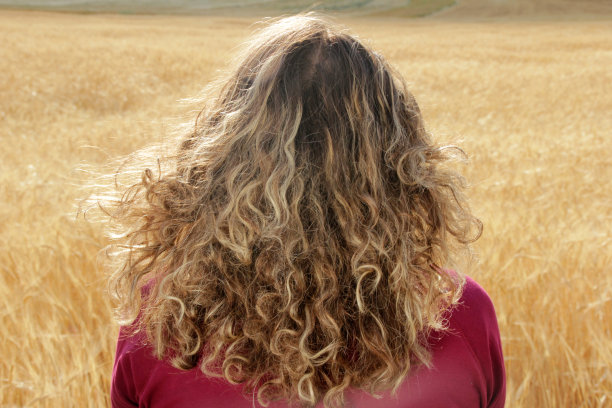 麦田里的美女图片下载