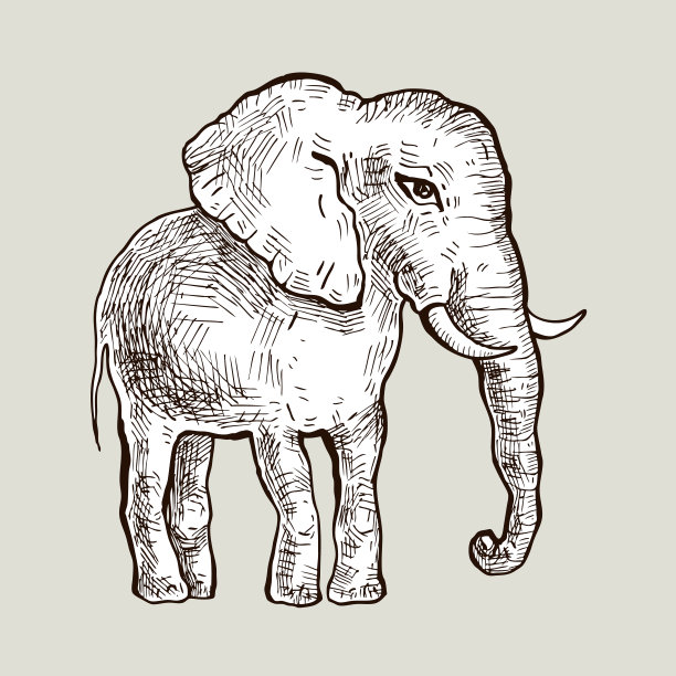 大象。矢量图图片下载