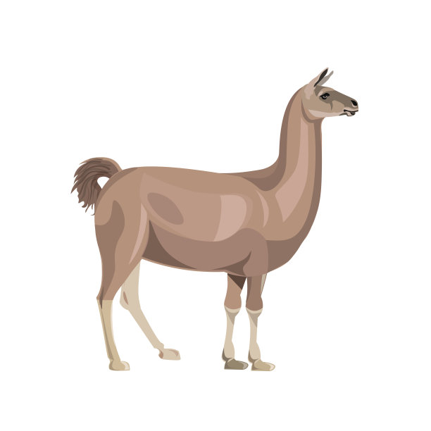 骆驼侧视图素材图片
