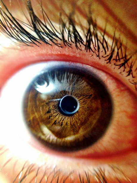 眼睛的焦点图片下载